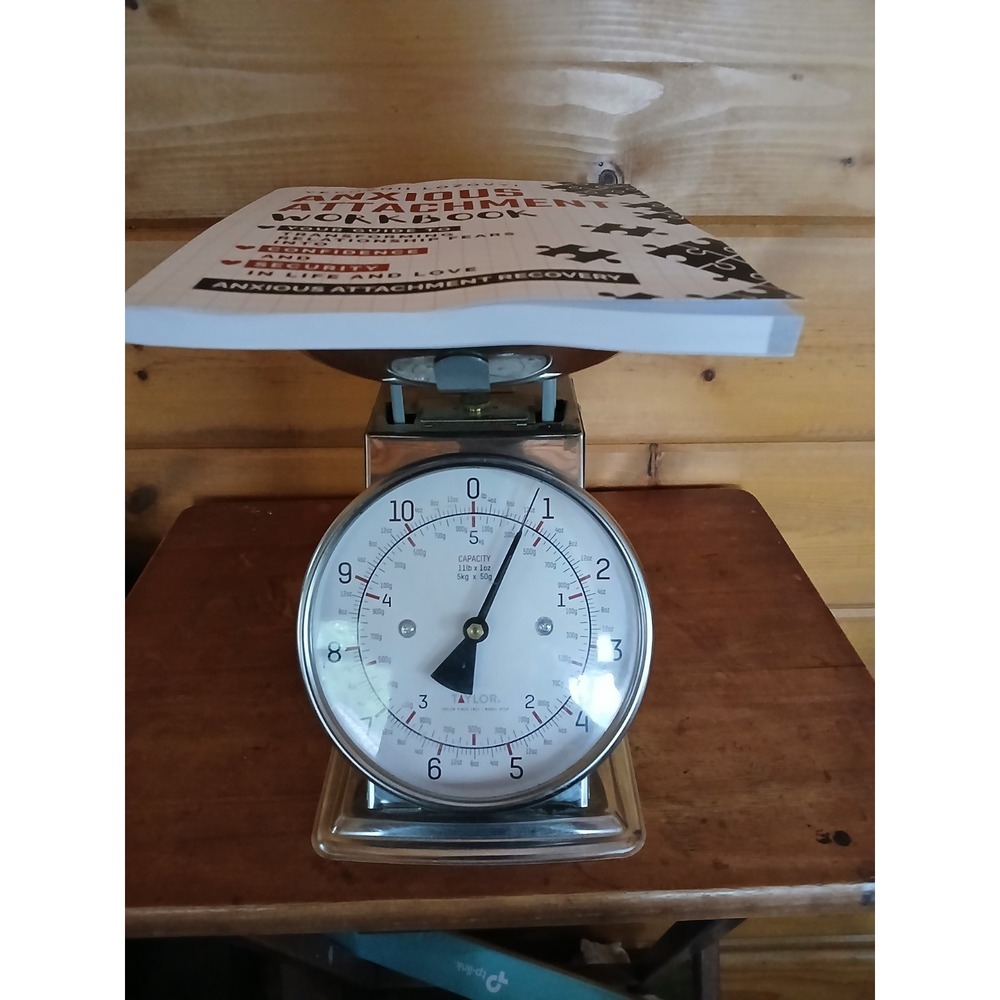 Anxious Attachment‎ Workbook: Yevhenii Lozovyi Recovery Brand New Bulk Discount - Picture 7 of 7